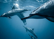 记者：莱万参加巴萨今日合练，将随队出征客场对阵莱万特的比赛